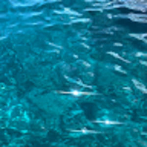 Meet your Posher, Elyse